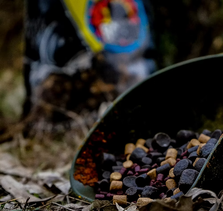 Appâts Proélite BAITS