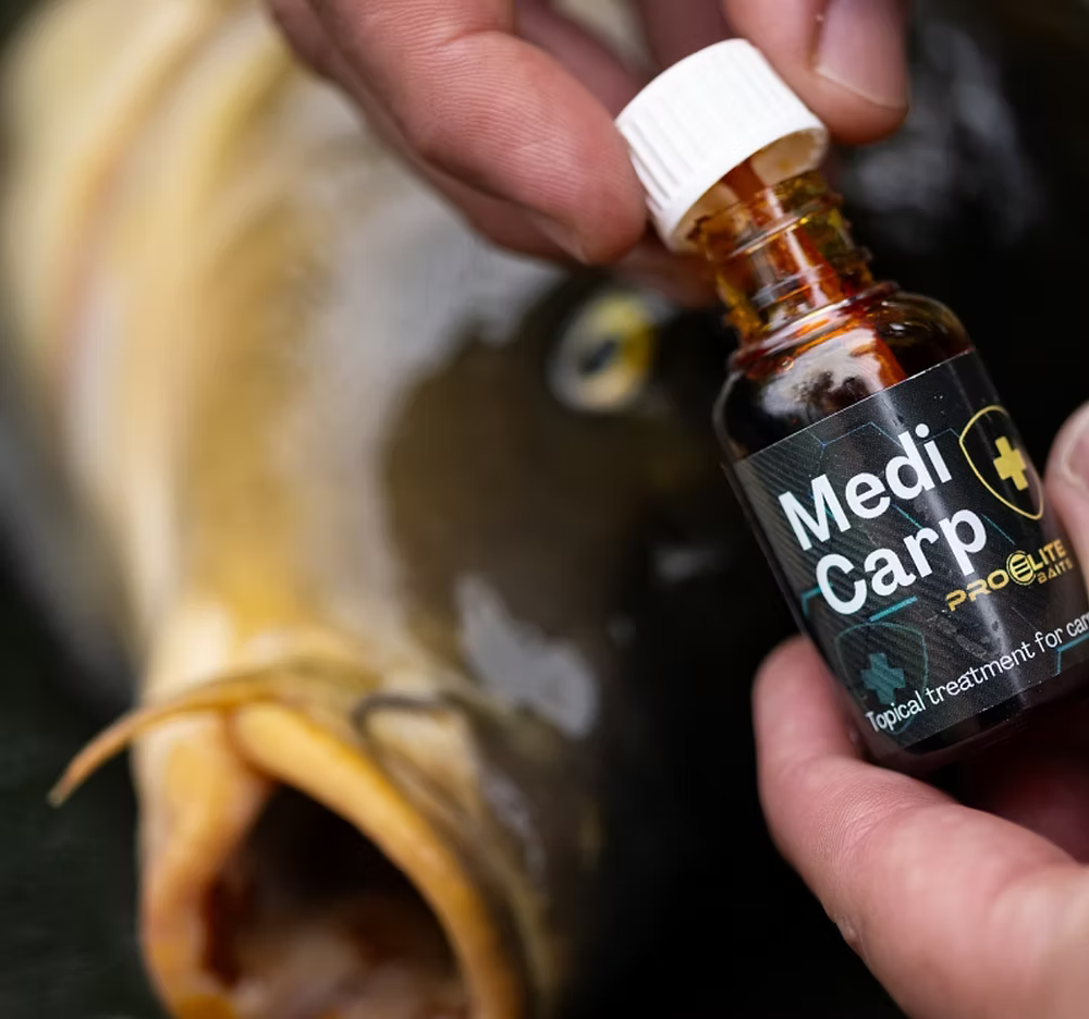 Bienvenue sur SHOPBRTV : la boutique pensée par un carpiste, pour les carpistes