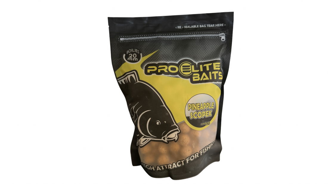 Bouillette Proelite 14 et 20mm