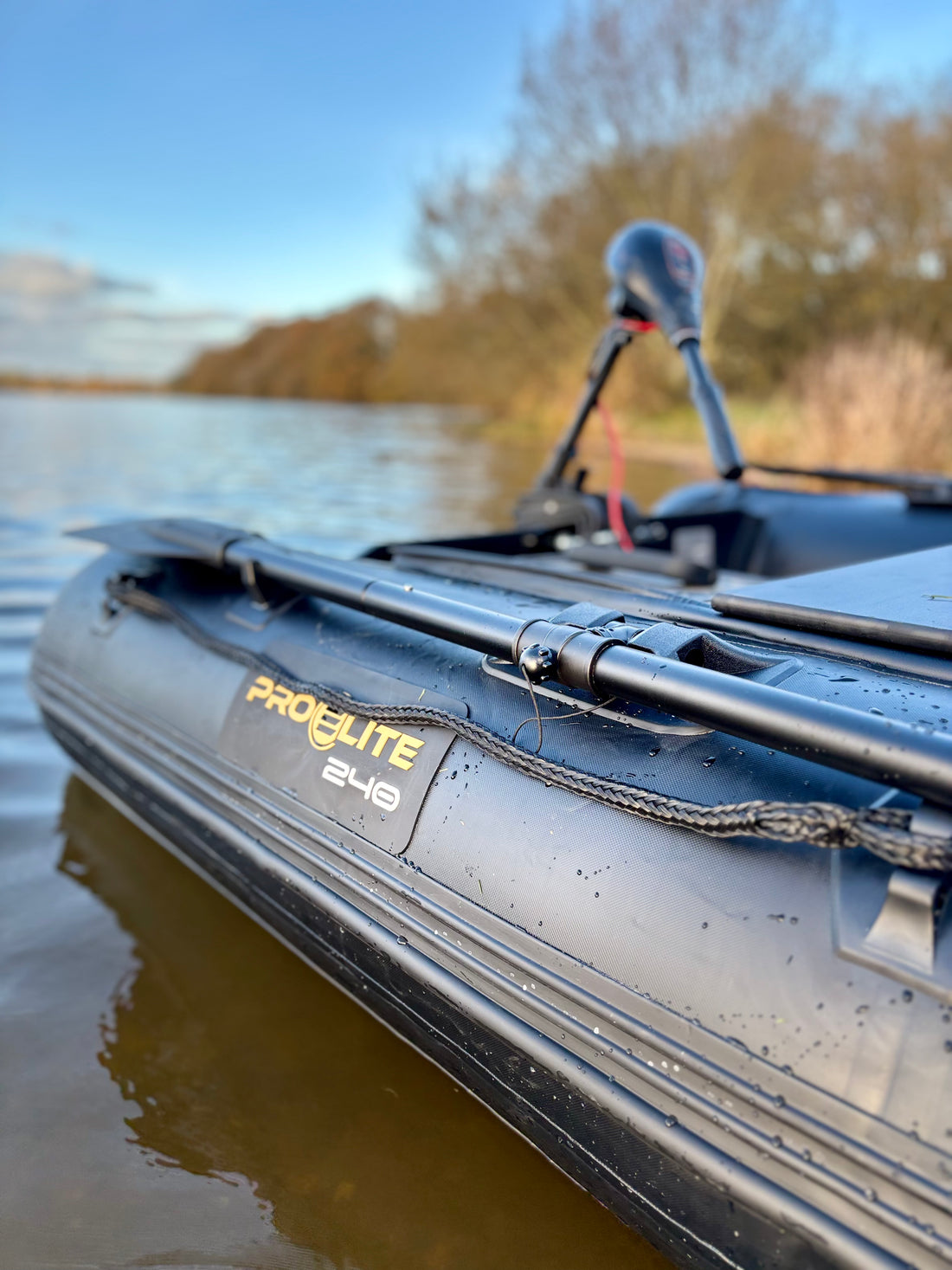 BOAT PROELITE 240